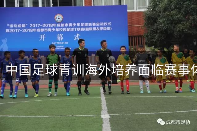 中国足球青训海外培养面临赛事体系短板